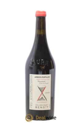 Arbois-Pupillin Ploussard Côte de Feule Cellier Saint Benoît