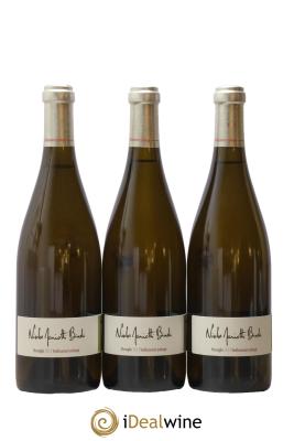 Vin de France Mursaglia Nicolas Mariotti Bindi Vieillissement Prolongé