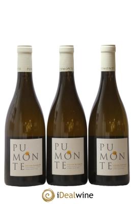 Vin de Corse Calvi Pumonte Domaine Alzipratu