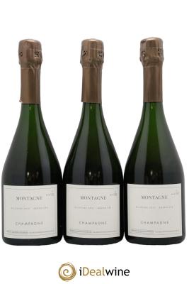 Montagne Verzy Grand Cru Les Monts Fournois (Domaine)
