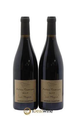 Saumur-Champigny Les Poyeux Antoine Sanzay