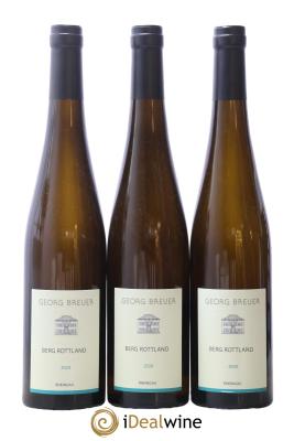 Riesling Georg Breuer Berg Rottland Rüdesheim Georg Breuer