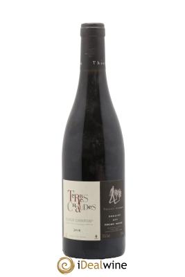 Saumur-Champigny Terres Chaudes Domaine des Roches Neuves - Thierry Germain