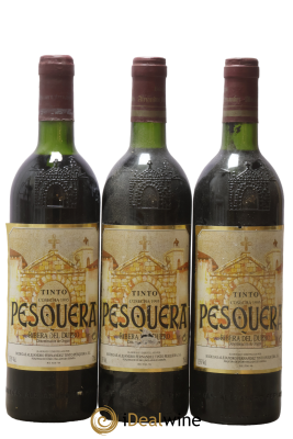 Ribera Del Duero DO Bodegas Alejandro Fernandez Tinto Pesquera