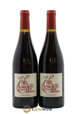 Languedoc Les Vignes Oubliées Autour du Cinsault Jean-Baptiste Granier