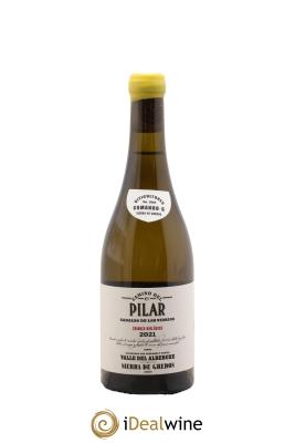 Vinos de Madrid DO Comando G Camino Del Pilar