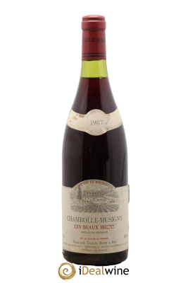 Chambolle-Musigny Les Beaux Bruns Rion
