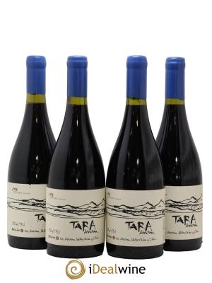 Chili Atacama Valley Syrah Ventisquero Tara