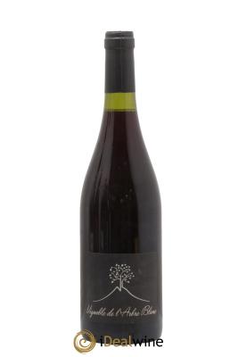 Vin de France Les Grandes Orgues Vignoble de l'Arbre Blanc