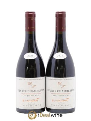 Gevrey-Chambertin Les Jeunes Rois Tortochot (Domaine)