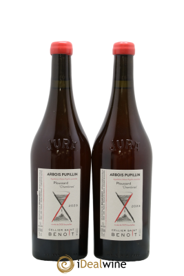 Arbois-Pupillin Ploussard Chambines Cellier Saint Benoît