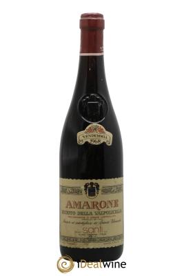 Amarone della Valpolicella DOC Santi