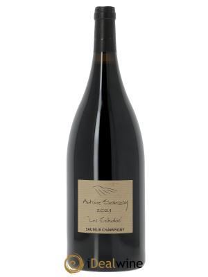Saumur-Champigny Les Echalas Antoine Sanzay