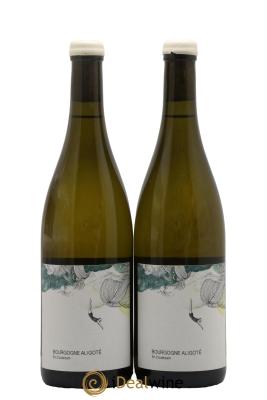 Bourgogne Aligoté En Coulezain Les Horées