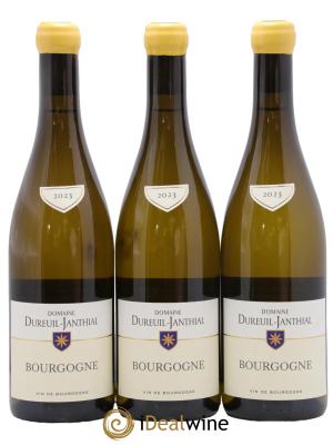 Bourgogne Vincent Dureuil-Janthial