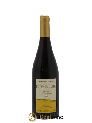 Côtes du Jura Pinot Noir Les Lumachelles Cavarodes (Domaine des) - Etienne Thiébaud