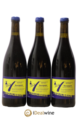 Bourgogne L'équilibriste Domaine de la Cras - Marc Soyard