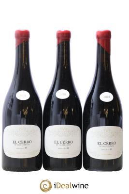 Bierzo DO El Cerro De Valdecanada R Perez
