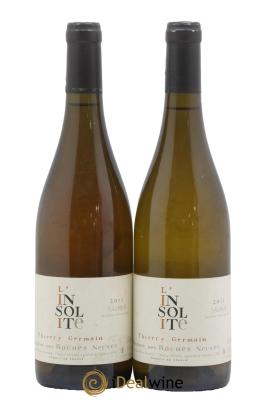 Saumur Insolite Domaine des Roches Neuves - Thierry Germain