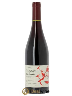 Beaujolais Nouveau Jean Foillard 