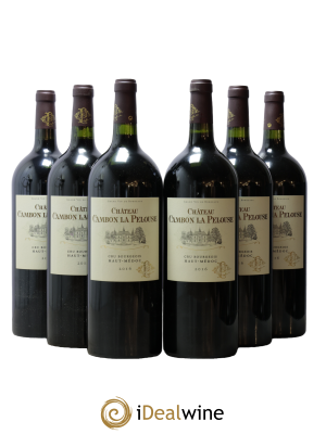 Château Cambon la Pelouse Cru Bourgeois
