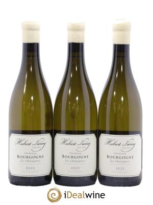 Bourgogne Les Chataigners Hubert Lamy