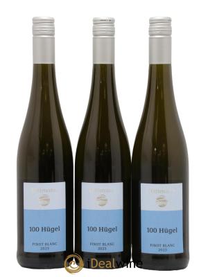 Allemagne Rheinhessen Pinot Blanc 100 Hugel Wittmann