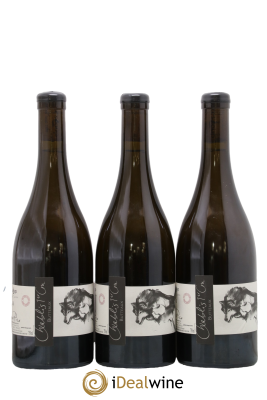 Chablis 1er Cru Butteaux Pattes Loup (Domaine)