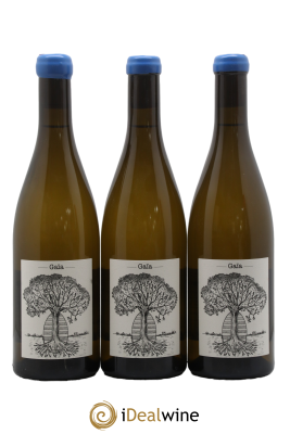 Vin de France Gaïa Jérôme Bretaudeau - Domaine de Bellevue