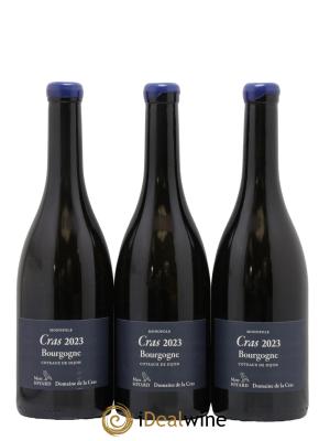 Bourgogne Cras Domaine de la Cras - Marc Soyard