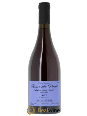 Marsannay Fleur de Pinot Sylvain Pataille (Domaine) 