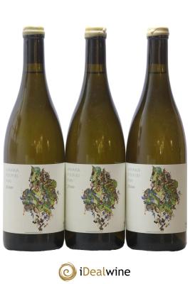 Vin de France Whaka Piripiri Mai Clos des Plantes - Olivier Lejeune