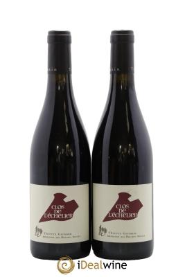Saumur-Champigny Clos de l'Echelier Domaine des Roches Neuves - Thierry Germain