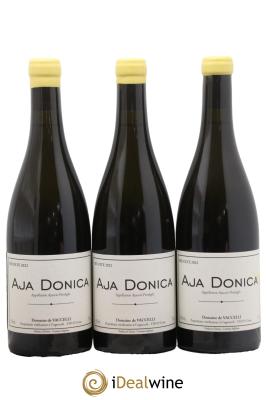 Ajaccio Aja Donica Vaccelli