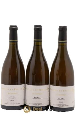 Anjou La Chapelle Château De Fesles Bernard Germain