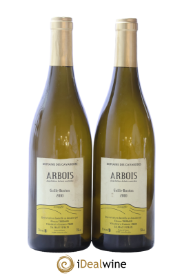 Arbois Guille-Bouton Cavarodes (Domaine des) - Etienne Thiébaud