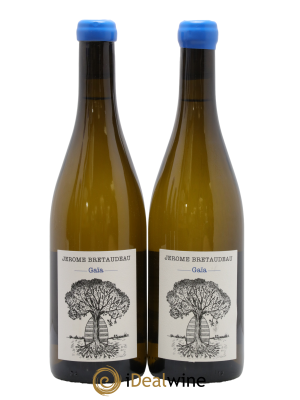 Vin de France Gaïa Jérôme Bretaudeau - Domaine de Bellevue