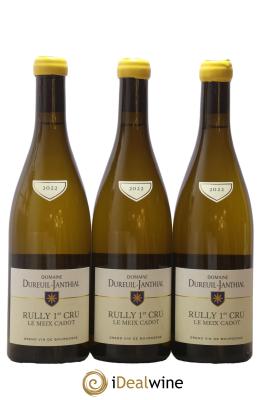 Rully 1er Cru Le Meix Cadot Vincent Dureuil-Janthial