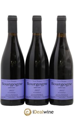 Bourgogne Sylvain Pataille (Domaine)