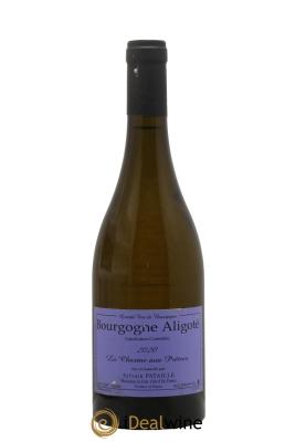 Bourgogne Aligoté La Charme aux Prêtres Sylvain Pataille (Domaine)