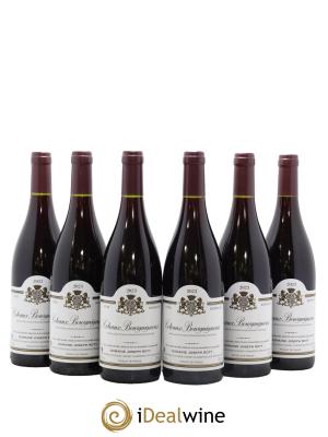 Coteaux Bourguignons Joseph Roty (Domaine)