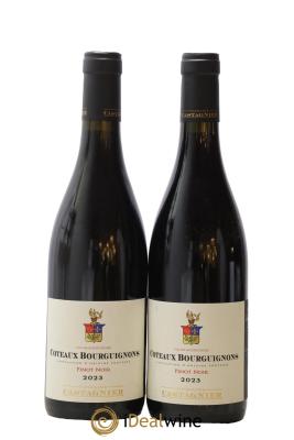 Coteaux Bourguignons Domaine Castagnier