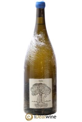 Muscadet-Sèvre-et-Maine Gaia Jérôme Bretaudeau - Domaine de Bellevue