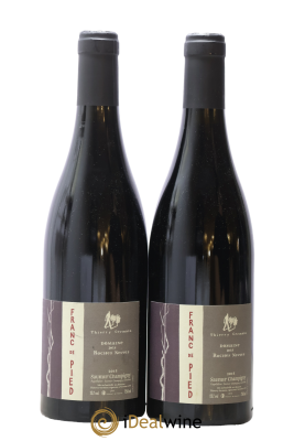 Saumur-Champigny Franc de pied Domaine des Roches Neuves - Thierry Germain