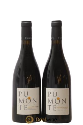 Vin de Corse Calvi Pumonte Domaine Alzipratu