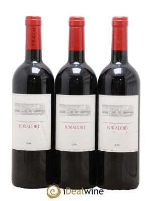 Vigneti delle Dolomiti IGT  Teroldego Elisabetta Foradori