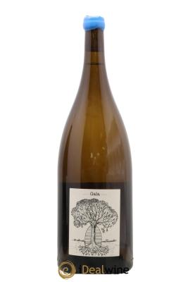 Muscadet-Sèvre-et-Maine Gaia Jérôme Bretaudeau - Domaine de Bellevue