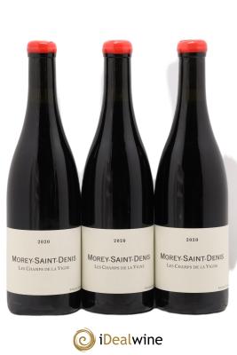 Morey-Saint-Denis Les Champs de la Vigne Qvevris Domaine de Chassorney - Frédéric Cossard