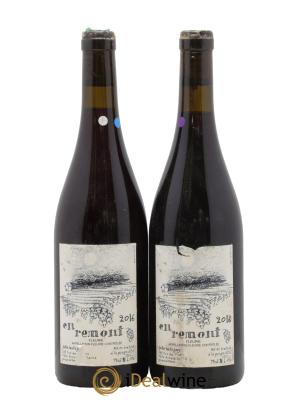 Fleurie En Rémont Julie Balagny