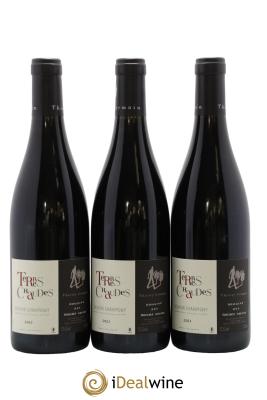Saumur-Champigny Terres Chaudes Domaine des Roches Neuves - Thierry Germain